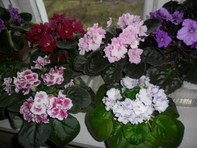 темно красная на заднем плане как Вам?