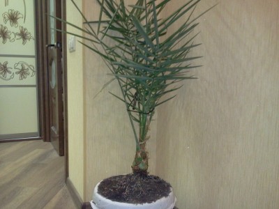 2013-11-25 19.12.05.jpg