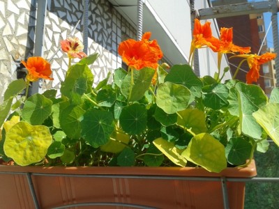 2014-06-05 15.28.24.jpg