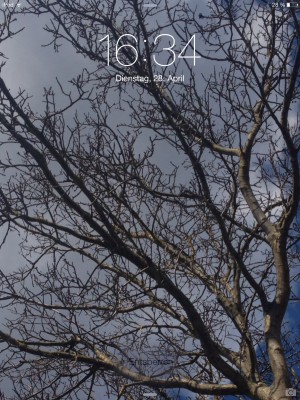 Тест-вложение с айпэда, надеюсь, не заругают...