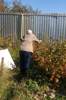 Это мама лакомиться ремонтантной малиной. Это уже осень.