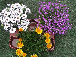 Jahr 2008 bis 26.06 069.jpg