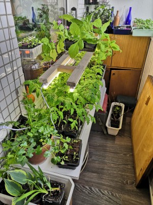 Застекленная северная лоджия