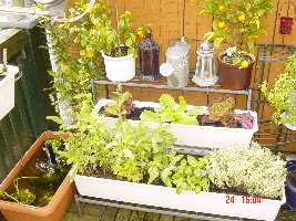 Там сбоку рыбки плавают и водичка из фонтанчика журчит.