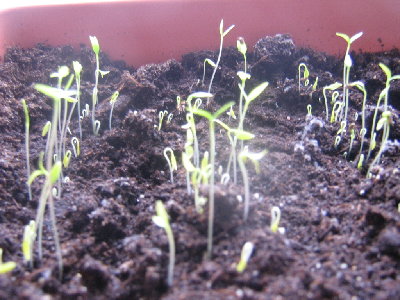 Изображение 009.jpg