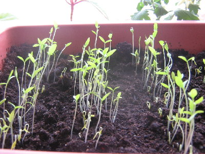 Изображение 016.jpg