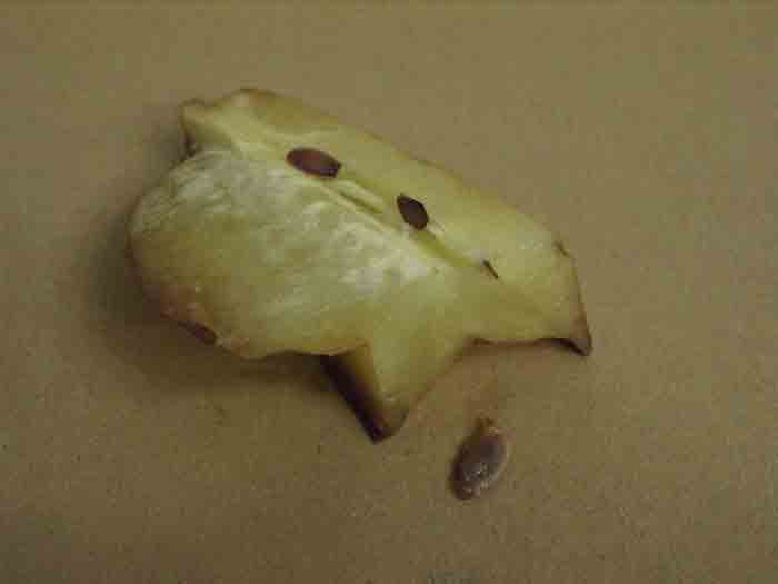 Для удаления семян плод нужно разрезать вдоль