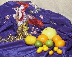 Семейство цитрусовых  – одно из крупнейших в мире растений, среди его плодов  есть как карлики, так и гиганты