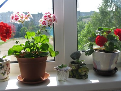 Изображение 109.jpg