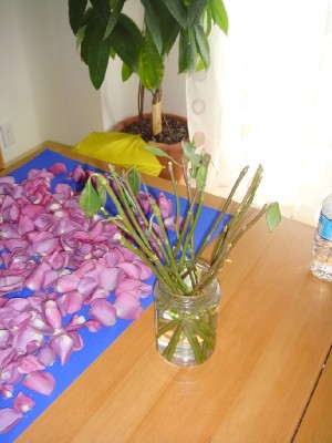 Розовые стебли для посадки