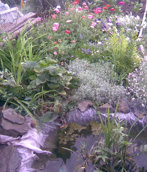 Не полный и с тиной, но свой.